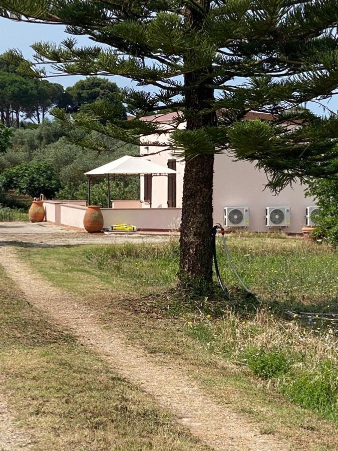 Miquel Fort - Casina Di Campagna 알게로 외부 사진